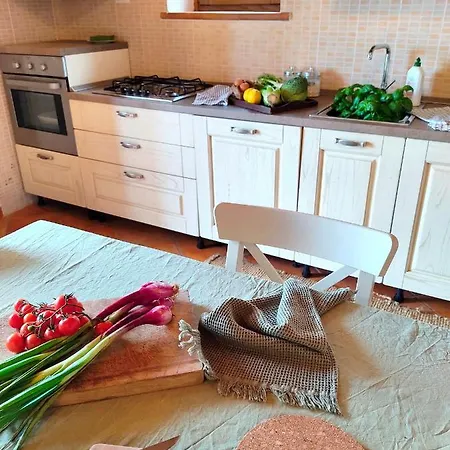 Olive House Tuscany - Zona Pisa * Calci