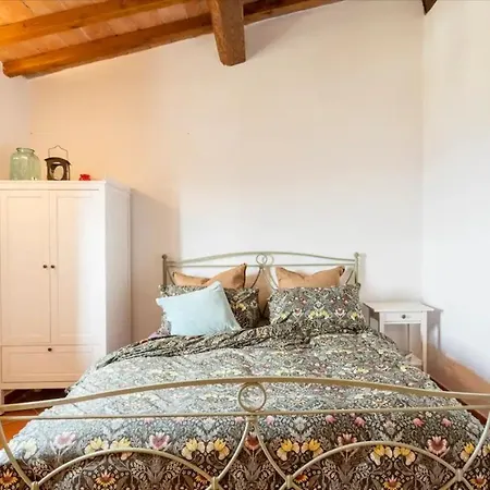 Olive House Tuscany - Zona Pisa * Calci
