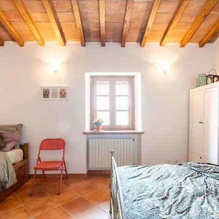 Olive House Tuscany - Zona Pisa * Calci