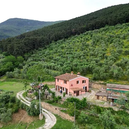 Olive House Tuscany - Zona Pisa Holiday home Calci