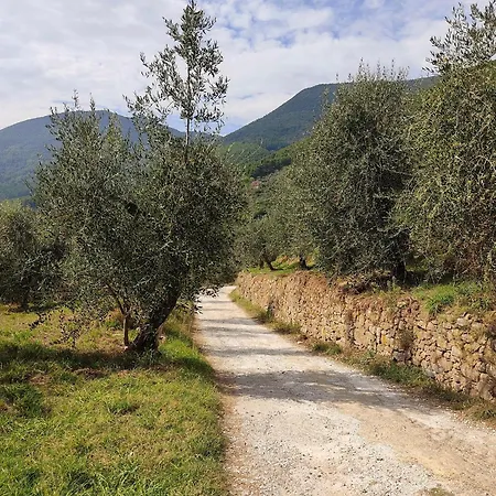 Holiday home Olive House Tuscany - Zona Pisa *