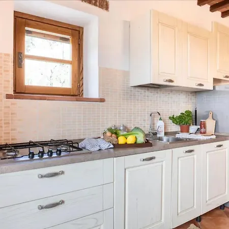 Olive House Tuscany - Zona Pisa Holiday home Calci