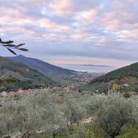 Olive House Tuscany - Zona Pisa Prázdninový dům Calci