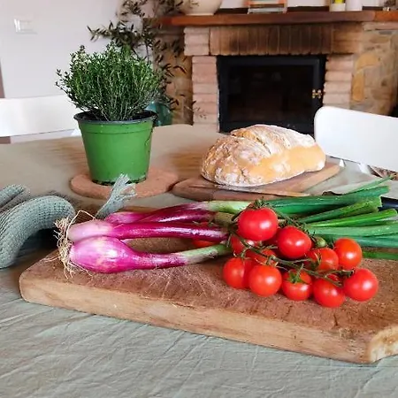 Olive House Tuscany - Zona Pisa Prázdninový dům *