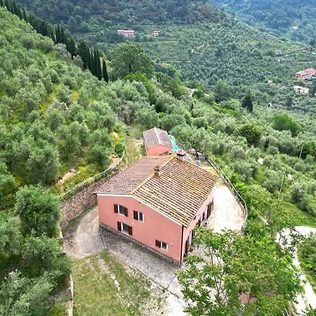Prázdninový dům Olive House Tuscany - Zona Pisa