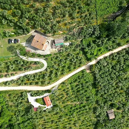 Prázdninový dům Olive House Tuscany - Zona Pisa *