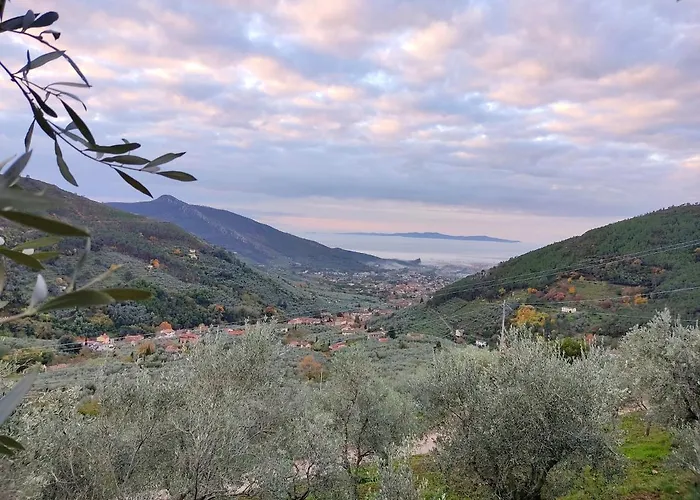Olive House Tuscany - Zona Pisa Feriehus Calci