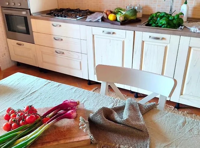 Olive House Tuscany - Zona Pisa * Calci