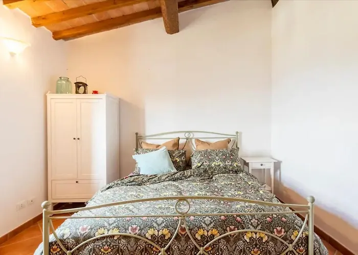 Olive House Tuscany - Zona Pisa * Calci