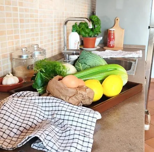 Olive House Tuscany - Zona Pisa Feriehus