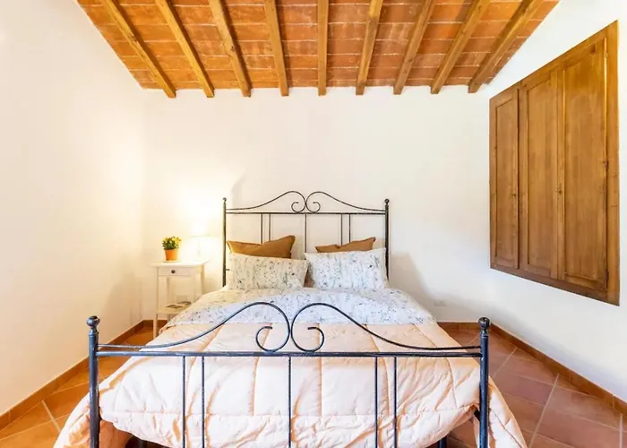 Olive House Tuscany - Zona Pisa *