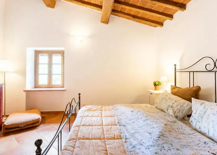 Olive House Tuscany - Zona Pisa Calci