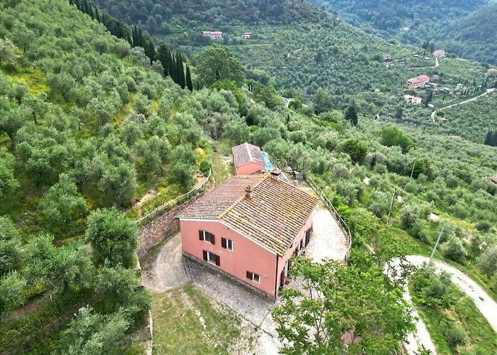 Feriehus Olive House Tuscany - Zona Pisa
